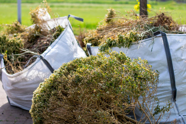 Best Local Junk Hauling  in Jessup, PA